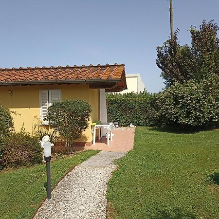 Piscina Privata Tiger Home, Toscana Capannori Zewnętrze zdjęcie