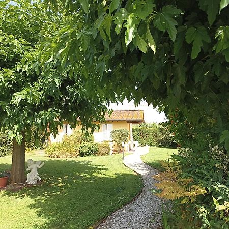 Piscina Privata Tiger Home, Toscana Capannori Zewnętrze zdjęcie