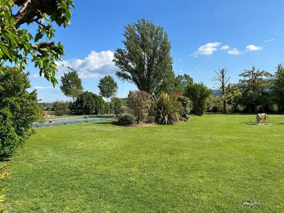 Piscina Privata Tiger Home, Toscana Capannori Zewnętrze zdjęcie