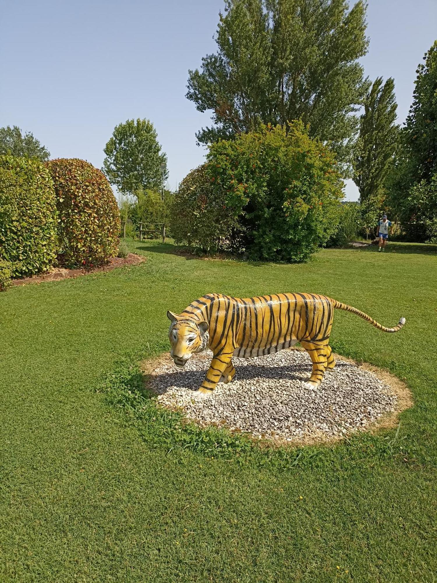 Piscina Privata Tiger Home, Toscana Capannori Zewnętrze zdjęcie